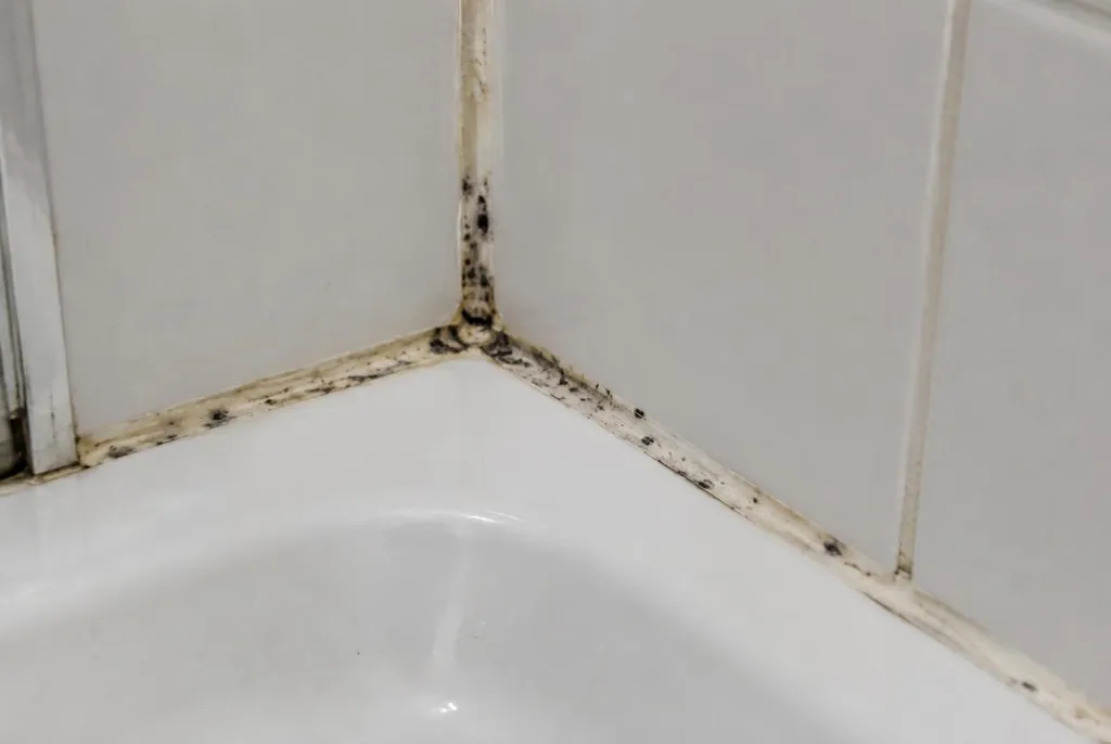 Kitbedrijf Vlaardingen – beschimmelde kitranden